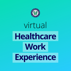 VIRTUAL HEALTHCARE WORK EXPERIENCE
